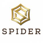 Spider Business Profile Picture