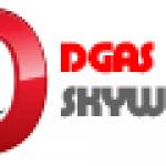 Dgas Skyworld0 Profile Picture