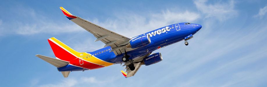 Southwest Airlines Flights Check Cover Image