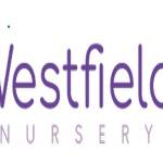 Westfield Nursery Profile Picture