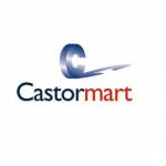 Castormart Profile Picture