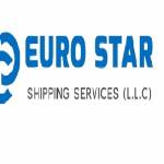 Euro Star Shipping Services LLC Profile Picture