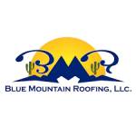 Blue Mountain Roofing Roof Repair Tucson Profile Picture