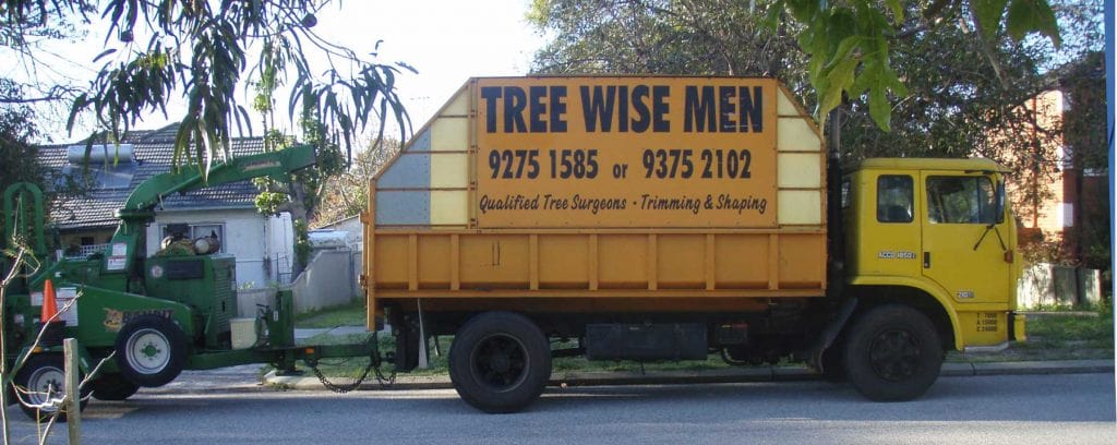 Tree Lopping & Removal Swan View, WA | Tree Wise Men