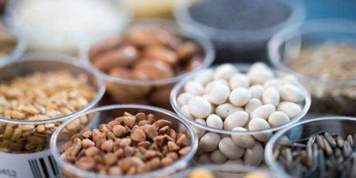 Hybrid Seeds Market by Application, Share | Factors Contributing To Growth And Forecast up to 2030