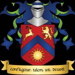 Insignia College profile picture