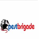 Pest Brigade Profile Picture