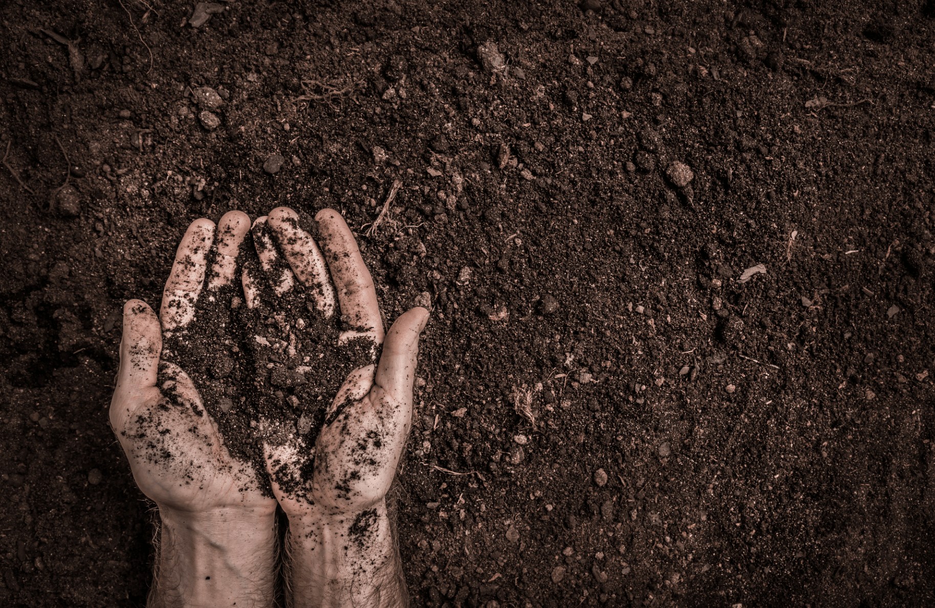 What Are Soil Amendments? – Impello® Biosciences