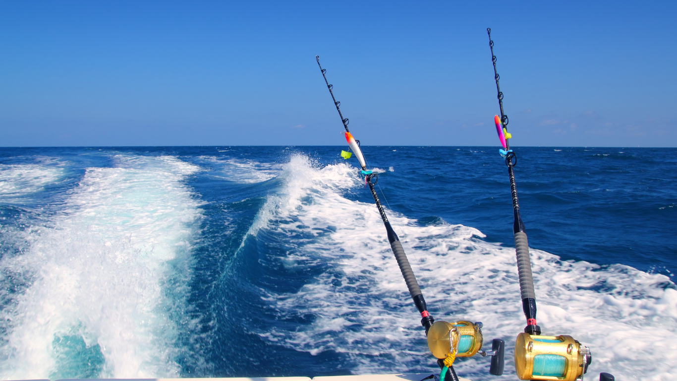 Best San Diego Sportfishing - Complete Guide - Cruise San Diego
