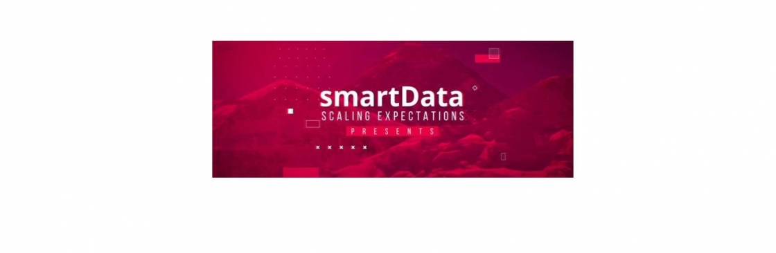 smartData Inc Cover Image