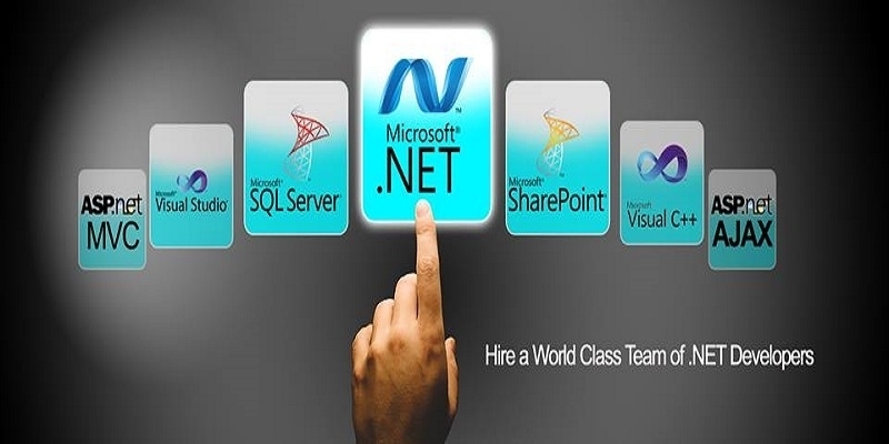 Harnessing the Power of Custom .NET Development Services in India