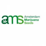Amsterdam Marijuana Seeds Profile Picture
