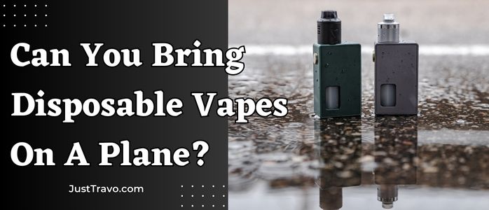 Can You Bring Disposable Vapes on an Airplane? Complete Guide
