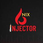 nixinjector Profile Picture