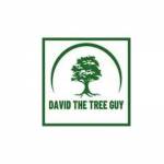 David The Tree Guy Profile Picture