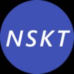 NSKT Global Profile Picture