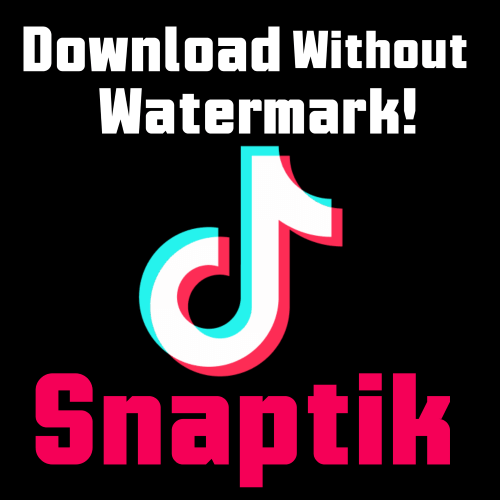 SNAPTIK - Free TikTok Downloader Without Watermark