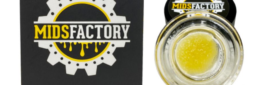 Mids Factory Cover Image