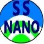 SkySpring NanoMaterials ,Inc Profile Picture