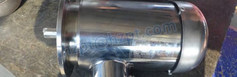 stainless steel gear motor Cover Image