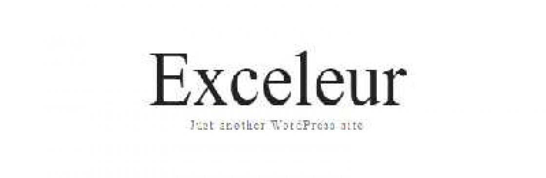 exceleur net Cover Image