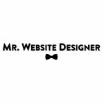Mr. Website Designer Profile Picture
