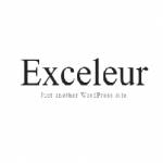 exceleur net Profile Picture