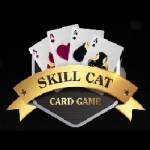 skillcat game Profile Picture