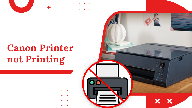 How To Fix Canon Printer Not Printing Issues?[Fixed]
