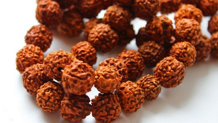The Science behind Rudraksha Combinations And Their Abilities