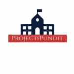 Project Pundit Profile Picture