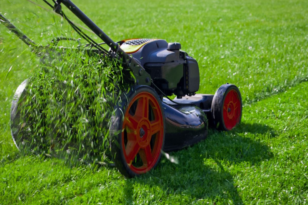 The Complete Lawn Care Guide - Alternative Mindset