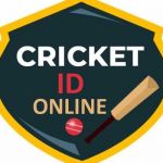 Online Cricket Profile Picture