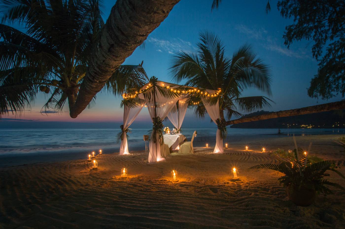 Kerala Honeymoon Packages From Seasonz India Holidays