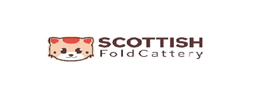 Scottish Fold Kittens Cattery Cover Image
