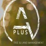 Aplus Treeland Profile Picture