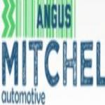 Angus Mitchell Automotive Profile Picture