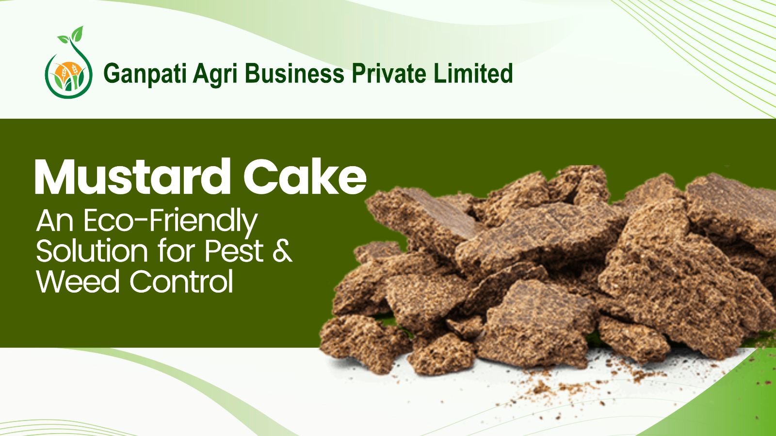 Mustard Cake: An Eco-Friendly Solution for Pest & Weed Control