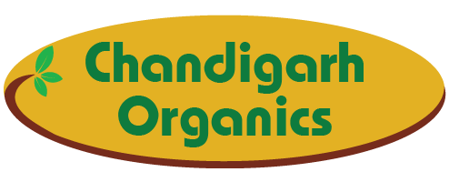 Why is Organic Food Considered Healthier?