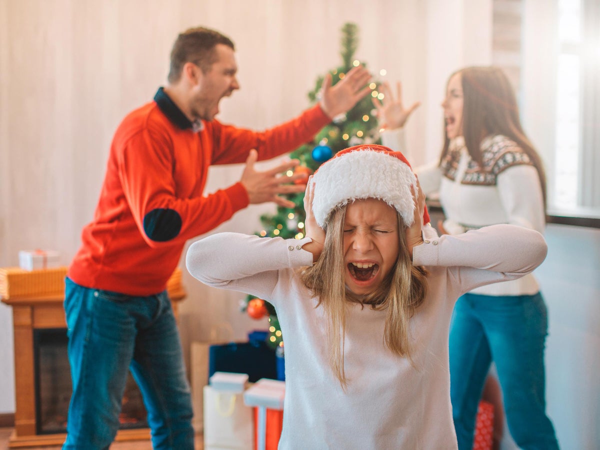 How Can I Make My Family Happy At Christmas?