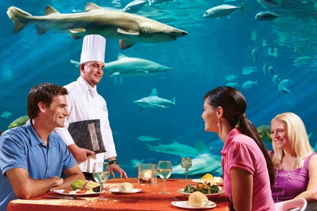 11 best underwater restaurants in the world?