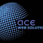 Ace Web Solution Profile Picture