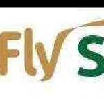Fly Saudi Profile Picture