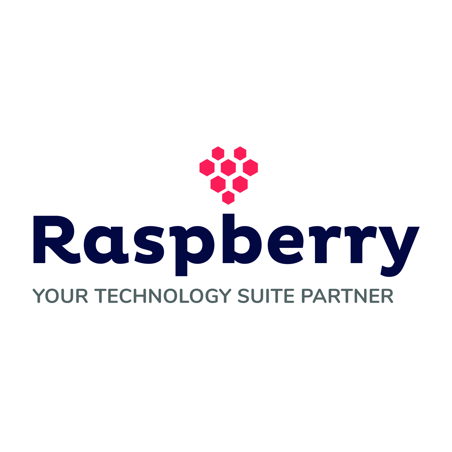UI UX Design Company in Dubai Agency | Raspberry IT Services
