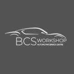 BCS Workshop Profile Picture