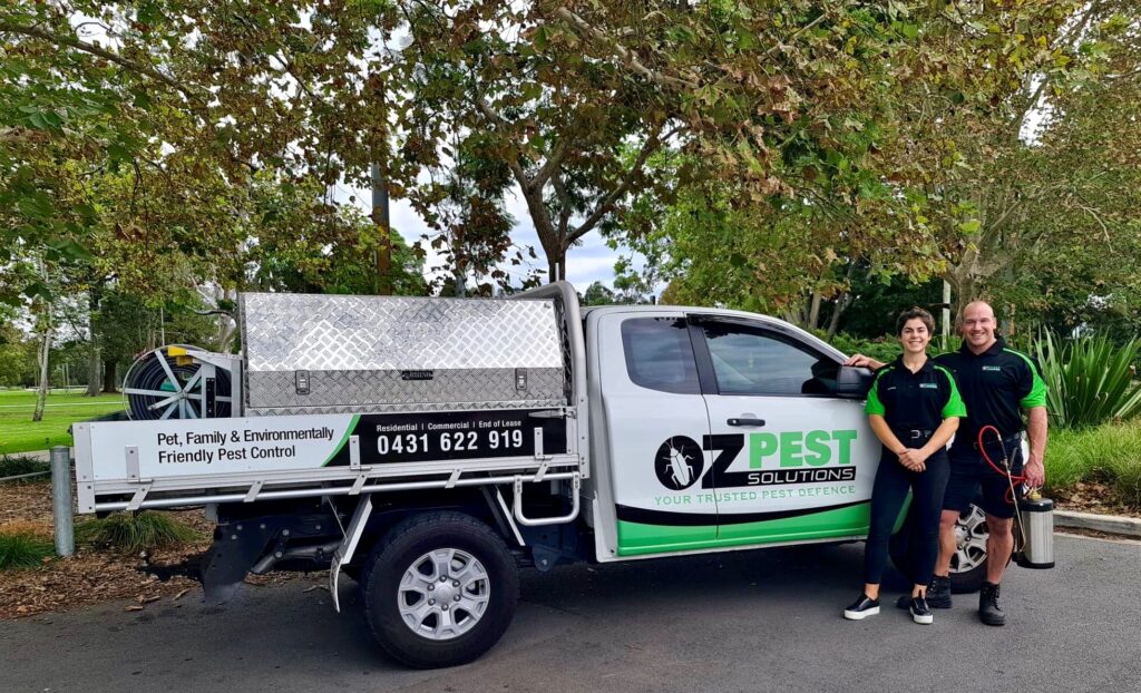 Local Pest Control Service In Newcastle