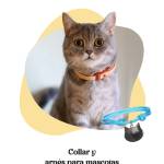 Accesorios para gatos Profile Picture