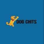 Dog Chits Profile Picture