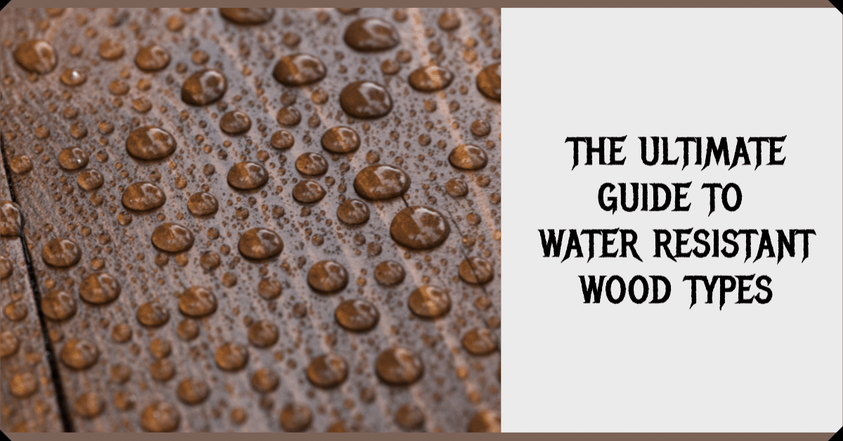 A Close Look at Different Types of Water-Resistant Wood