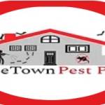 TitleTown Pest Pros Profile Picture